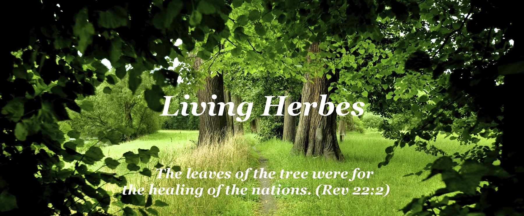The leaves of the tree were for the healing of the nations. (Rev 22:2) Leaves of Healing, Living Herbes